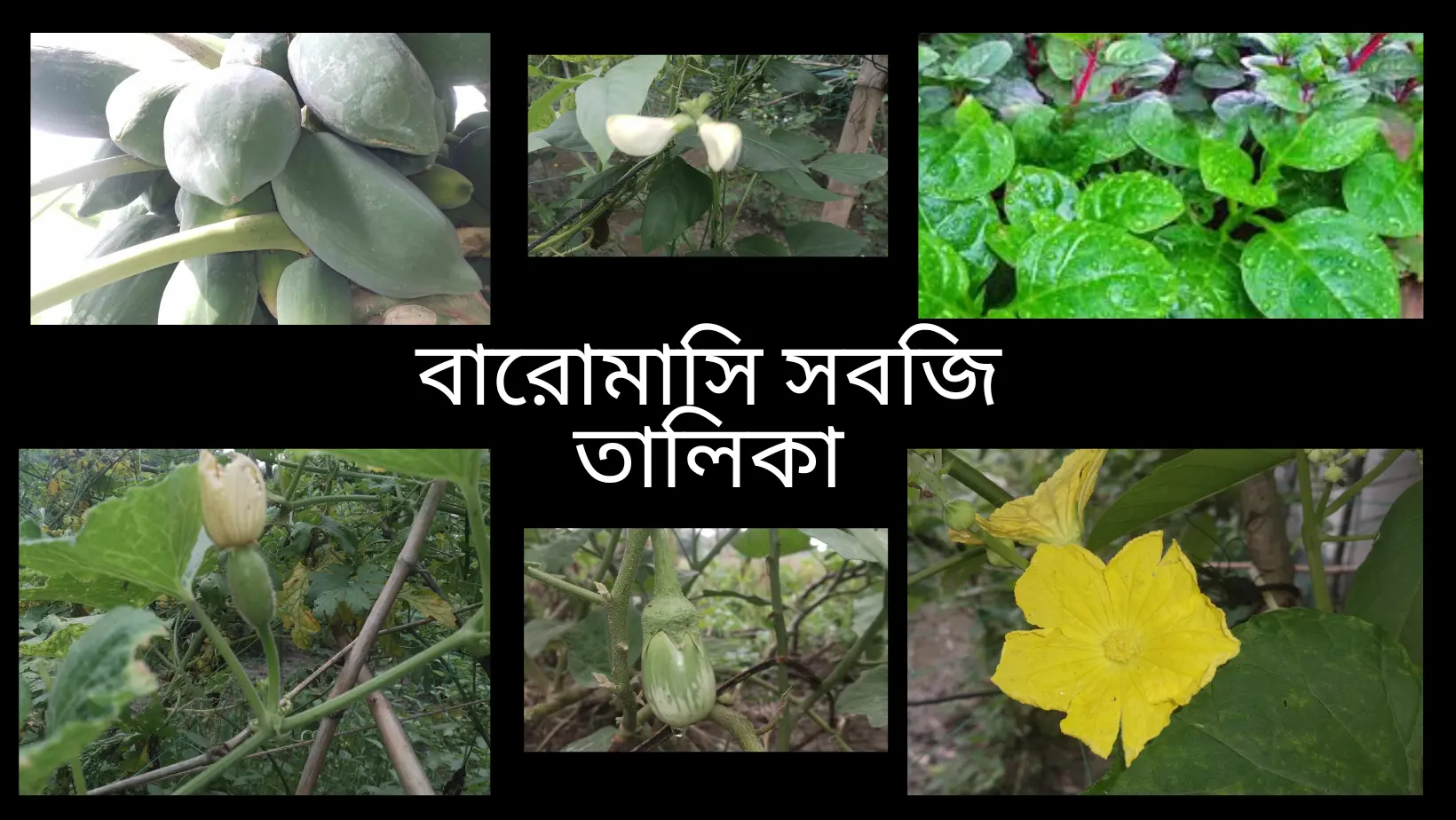 বারোমাসি সবজি তালিকা