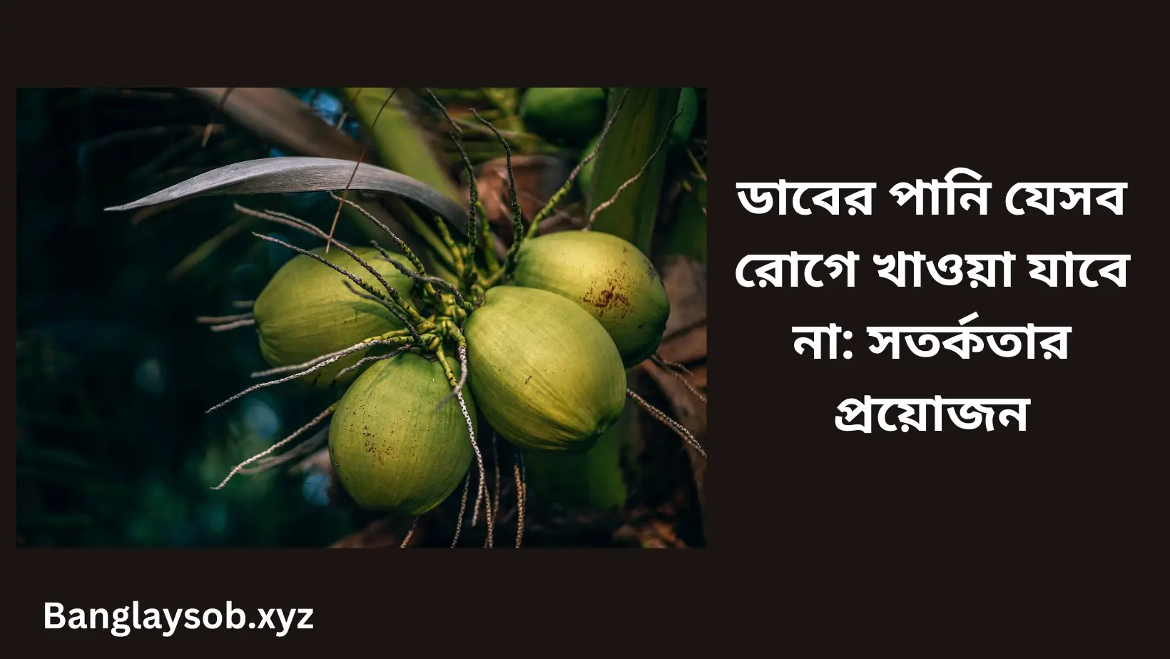 ডাবের পানি যেসব রোগে খাওয়া যাবে না সতর্কতার প্রয়োজন